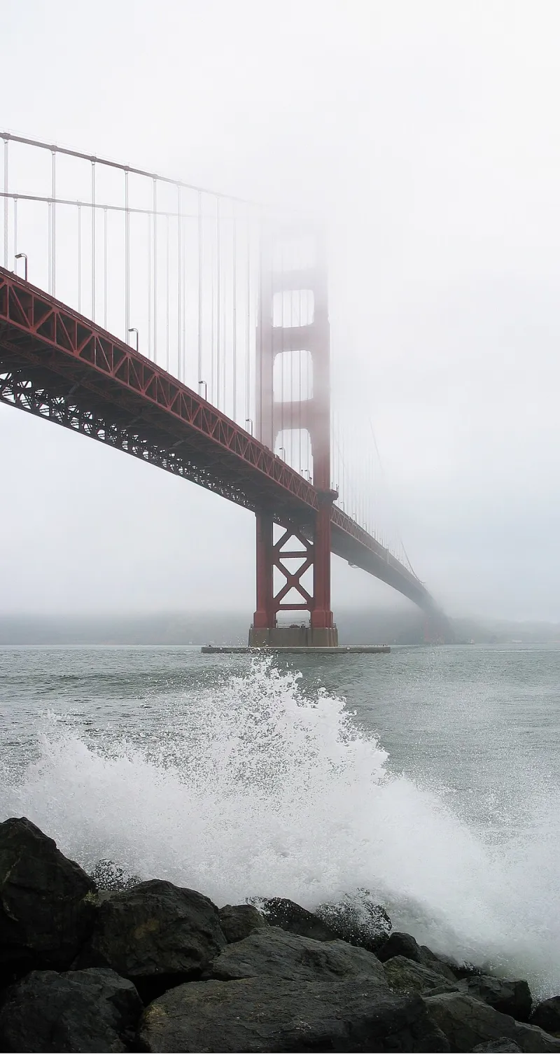 Put the Phone Down: 13 Genuinely Unforgettable Things to Do in SF That Deserve Your Full Attention